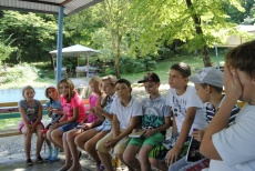 Halseva English City 